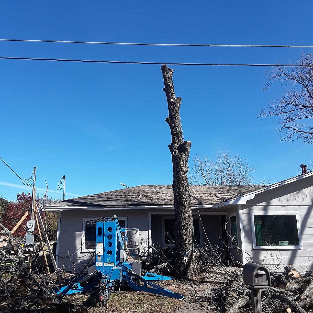 Tree removal near home - IN PROGRESS 1